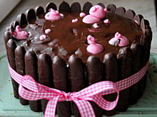 Fot. Silvana90, Tort świńskie błotko