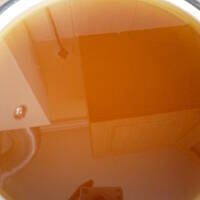 syrop z mleczy z mniszka lekarskiego