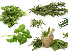 Fot. Wkn, Dlaczego warto jeść szczypiorek?