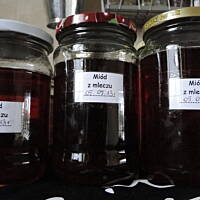 Miód (syrop) z mleczu