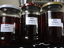 Fot. IgaZet, Miód (syrop) z mleczu