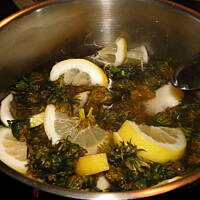 Miód (syrop) z mleczu