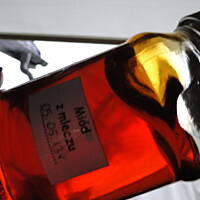 Miód (syrop) z mleczu