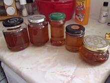 Fot. renataz36, Miód z mniszka lekarskiego