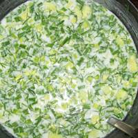 Chłodnik podlaski "simborek"