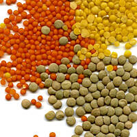 dahl z raitą(na motywach indyjskich)