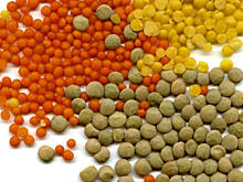 Fot. majolika, dahl z raitą(na motywach indyjskich)