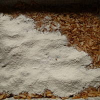 Szarlotka sypana - na gorąco