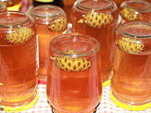 Fot. ggosia77, Syrop z młodych pędów sosnowych