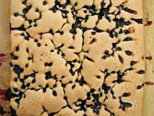 Fot. olusia23, Ekspresowe i przepyszne ciasto z jagodami