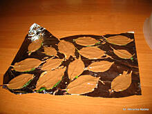 Fot. Weron!ka, czekoladowe liście