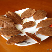 czekoladowe liście