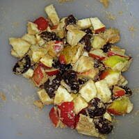 Kaczka z jablkami i suszonymi sliwkami