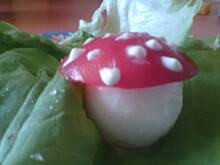 Fot. Kolorowa75, jajeczny muchomorek