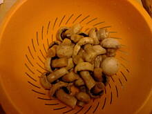 Fot. Dżanina Fonda, Szybkie marynowane pieczarki do sałatek