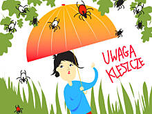 Fot. Wkn, Uwaga na kleszcze