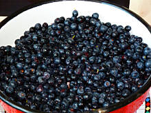 Fot. Mama - Różyczki, Sezon na jagody- cena?