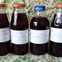 Sok z czarnej porzeczki