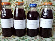 Fot. Anna Z, Sok z czarnej porzeczki