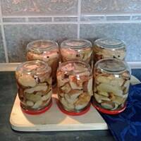 Grzyby w zalewie octowej