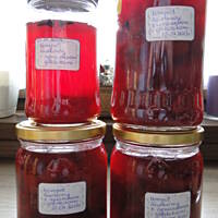 Kompot śliwkowy z cynamonem i goździkami