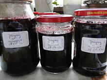 Fot. IgaZet, Jeżyny w syropie