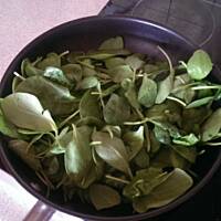 Zrazy nadziewane szpinakiem w szynce a'la parmeńskiej