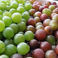 Wino działkowiczki z winogron.