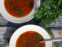 Fot. olusia23, Zupa z czerwoną soczewicą i pomidorami