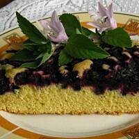 Smaczne ciasto z jagodami