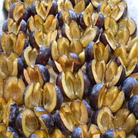 Ciasto śliwkowe "śnieżna pantera"