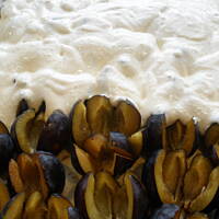 Ciasto śliwkowe "śnieżna pantera"