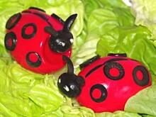 Fot. evita0007, Biedroneczki są w kropeczki