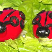 Biedroneczki są w kropeczki