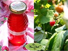 Fot. Monica W&O, Sok malinowy babci Klementyny