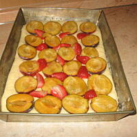 drożdżowe ze sliwkami mojej mamy