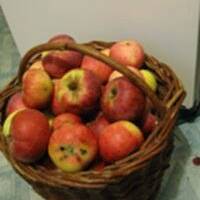 Apfelmuss z aronią           (  dżem,konfitura )