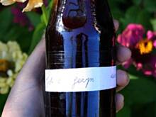 Fot. Monica W&O, Sok z jeżyn przecierany