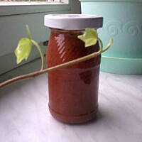 Ketchup lub sos pomidorowy