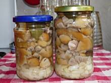 Fot. Anna Z, Marynowane turki