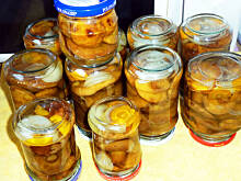 Fot. Mama - Różyczki, Podgrzybki marynowane najlepsze