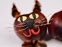 Fot. Wkn, Cuda z kasztanów - leniwy kot