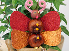 Fot. Wkn, Cuda z kasztanów - motyl, który pokazuje język