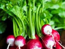 Fot. basiaaa, Marynowane rzodkiewki