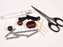 Fot. Wkn, Cuda z kasztanów - korektorowa zebra