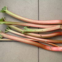 Rabarbar do grillowanych mięs