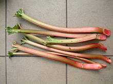 Fot. basiaaa, Rabarbar do grillowanych mięs