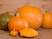 Fot. basiaaa, dynia z brandy