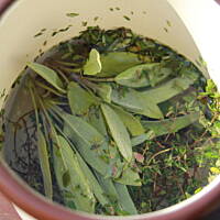 Syrop Tymiankowy na kaszel