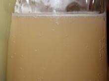 Fot. basiaaa, Kwas chlebowy -basiaaa